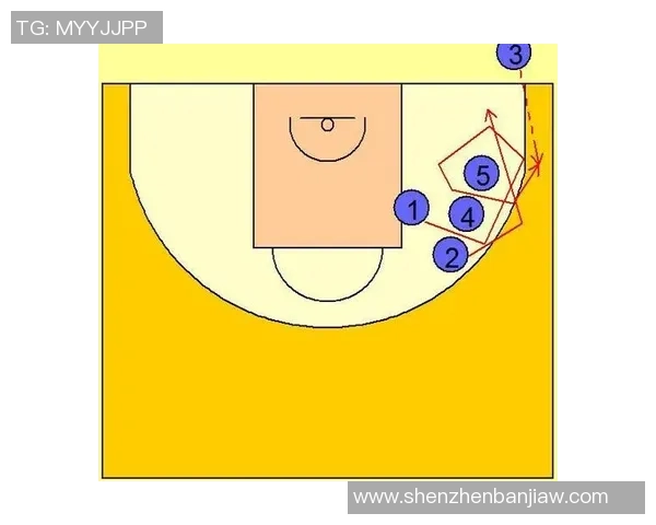 武汉排球队与北京排球队速度对比赛后分析与战术总结