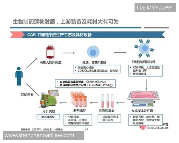 武汉足球队与深圳足球队赛后复盘分析意识与战术的深度探讨
